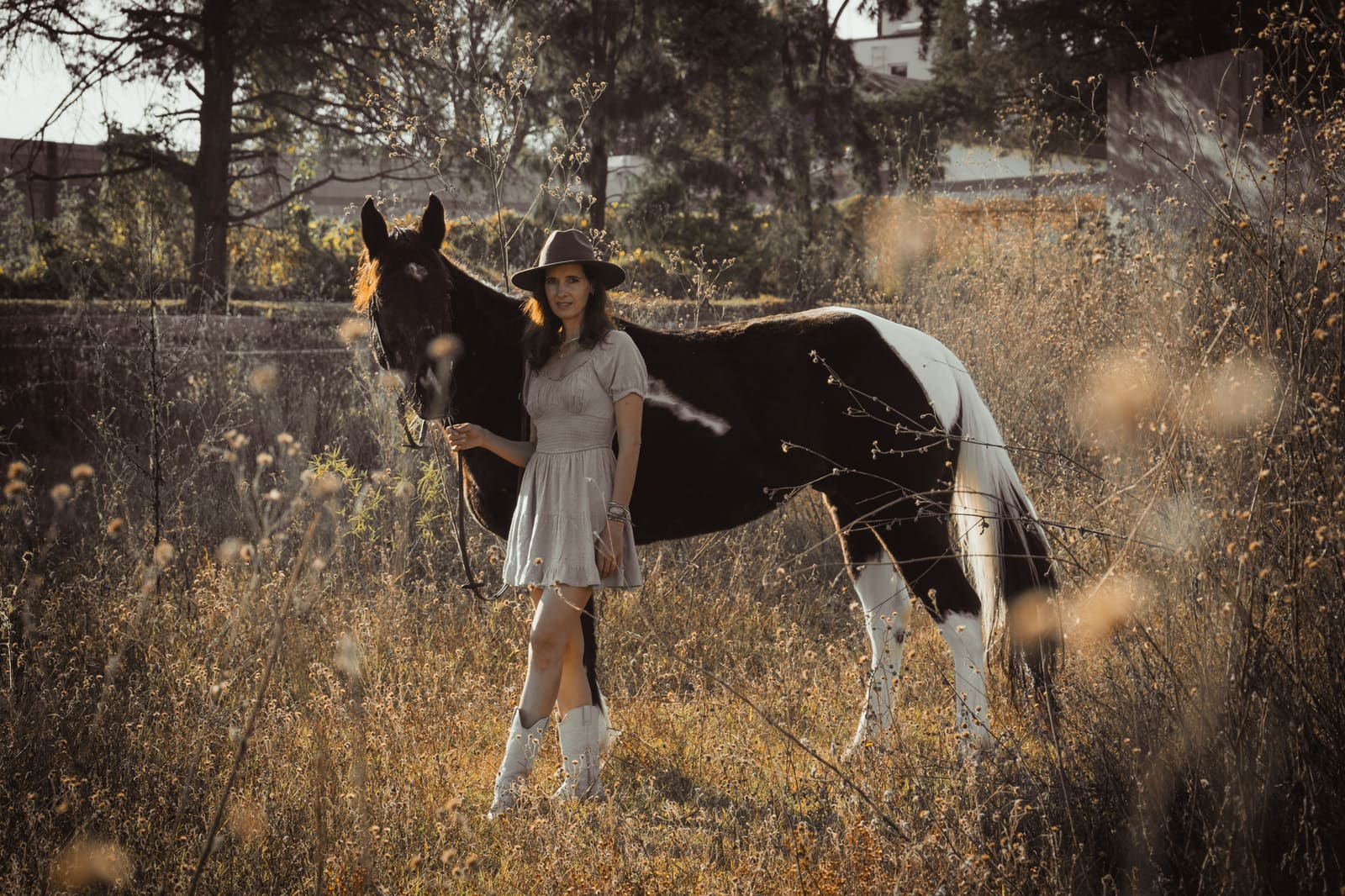 Fotografía ecuestre — Ecuestre 19