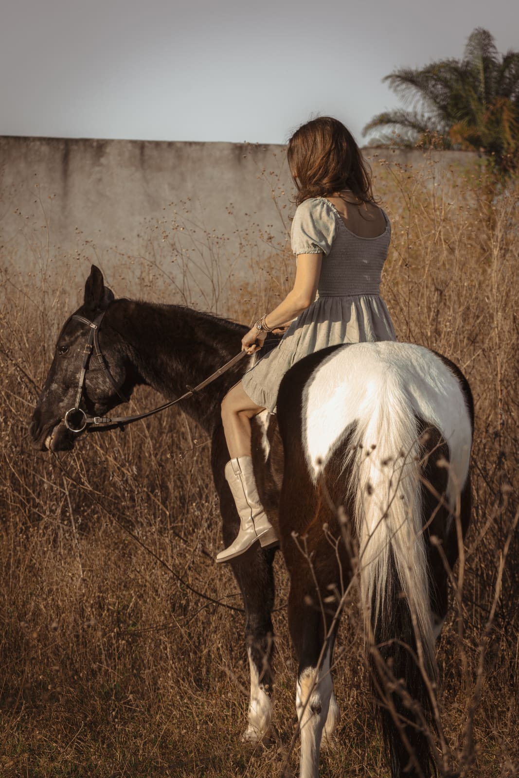 Fotografía ecuestre — Ecuestre 25