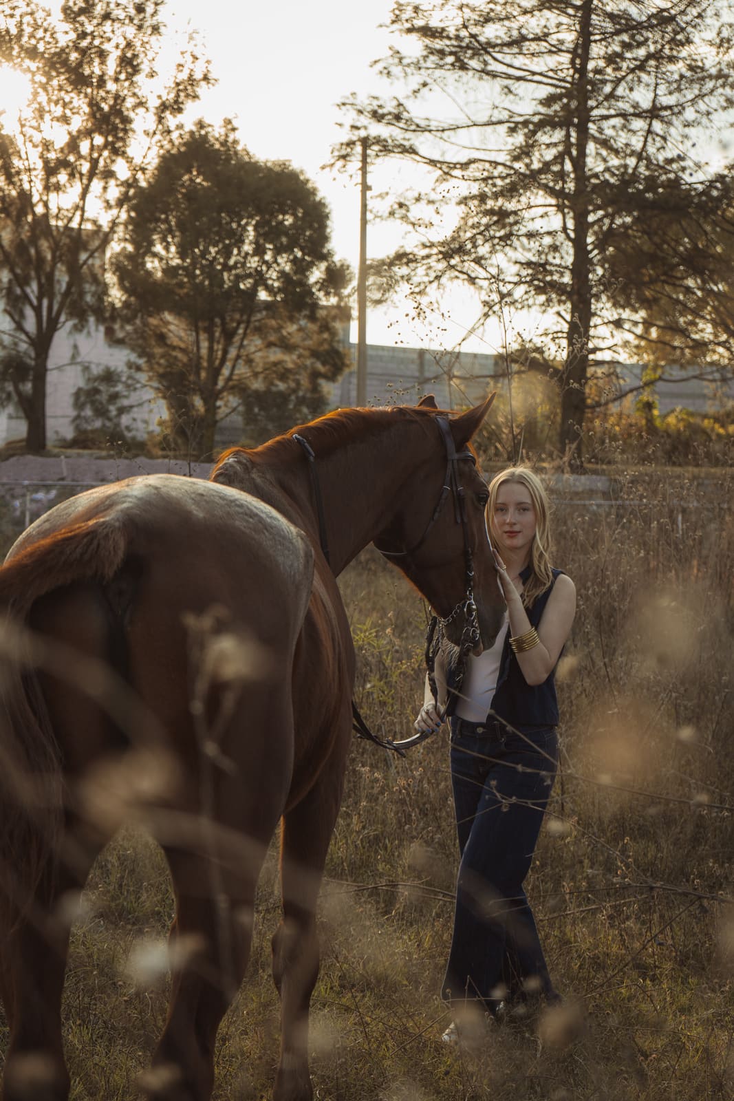 Fotografía ecuestre — Ecuestre 30