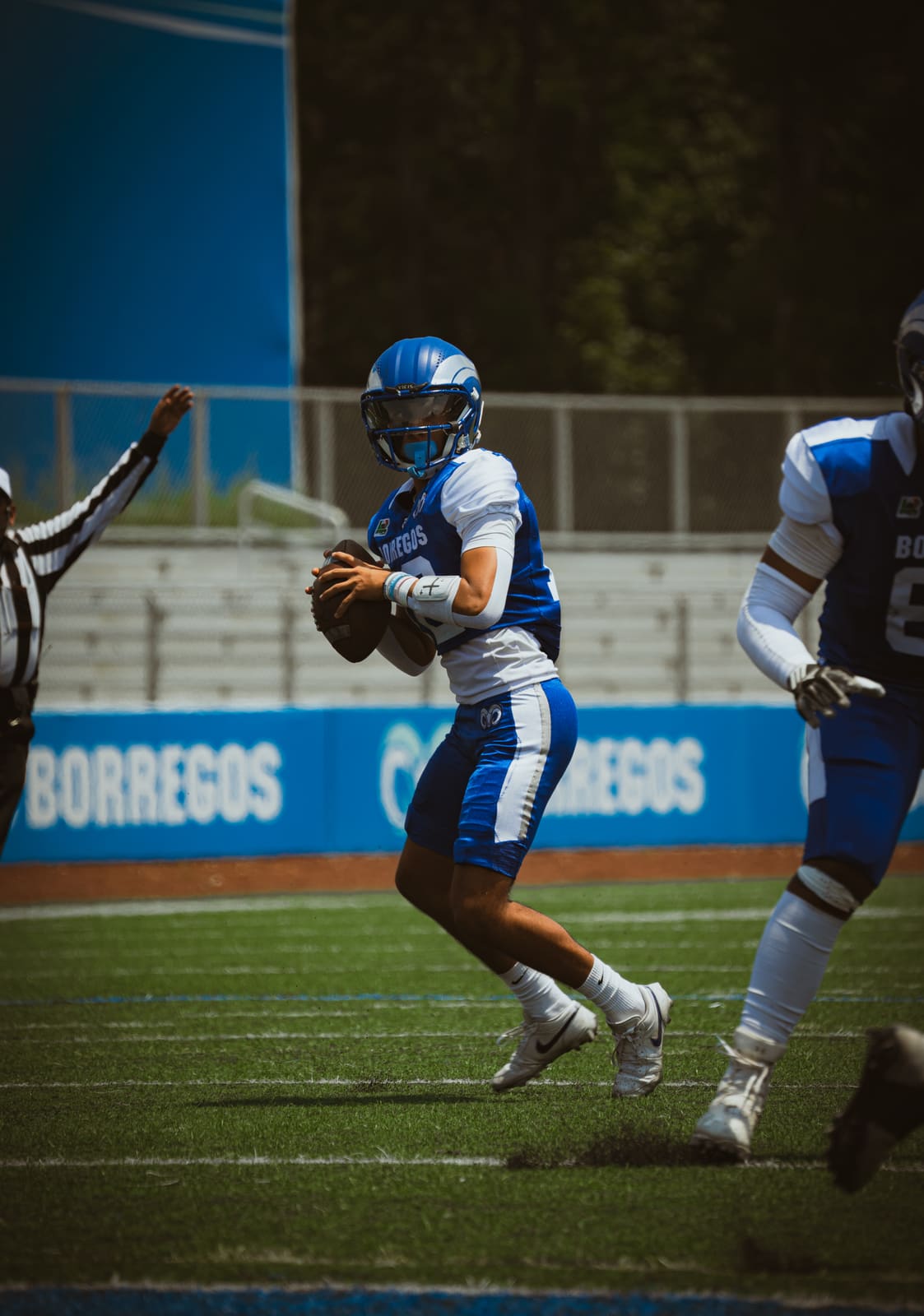 Fotografía de fútbol americano — Fútbol americano 06