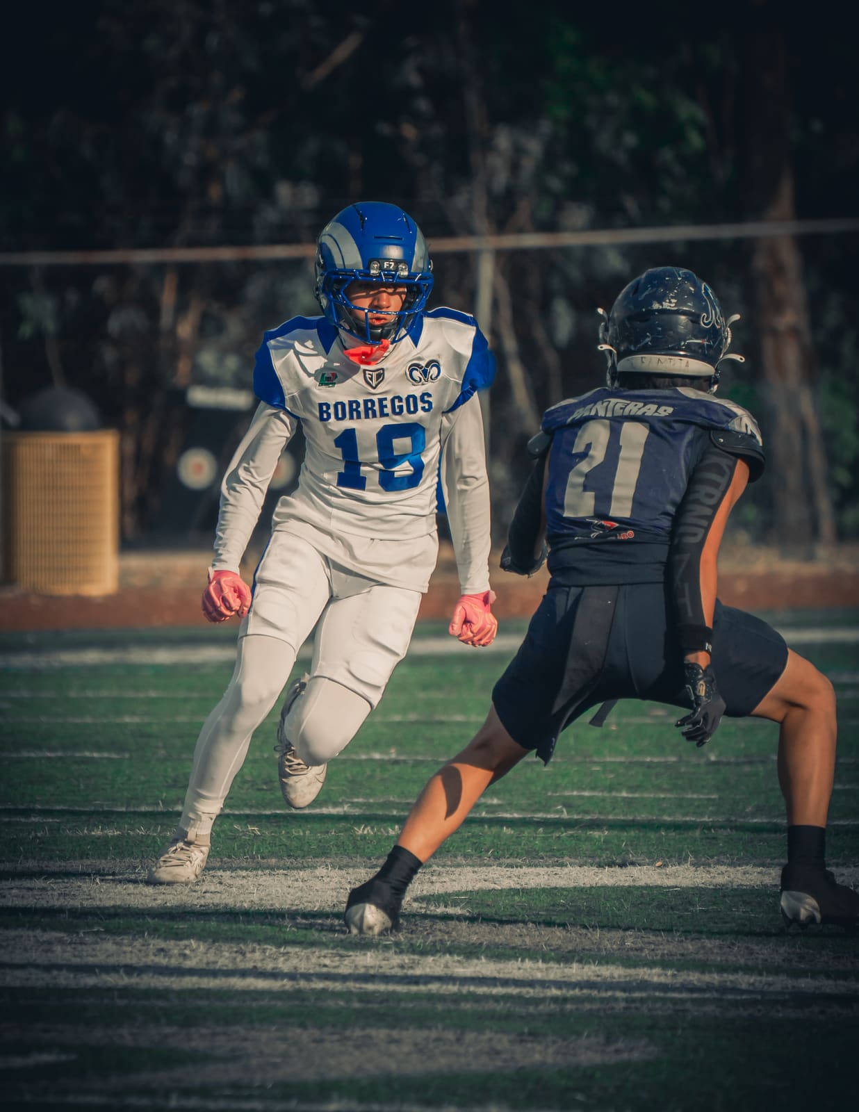 Fotografía de fútbol americano — Fútbol americano 18
