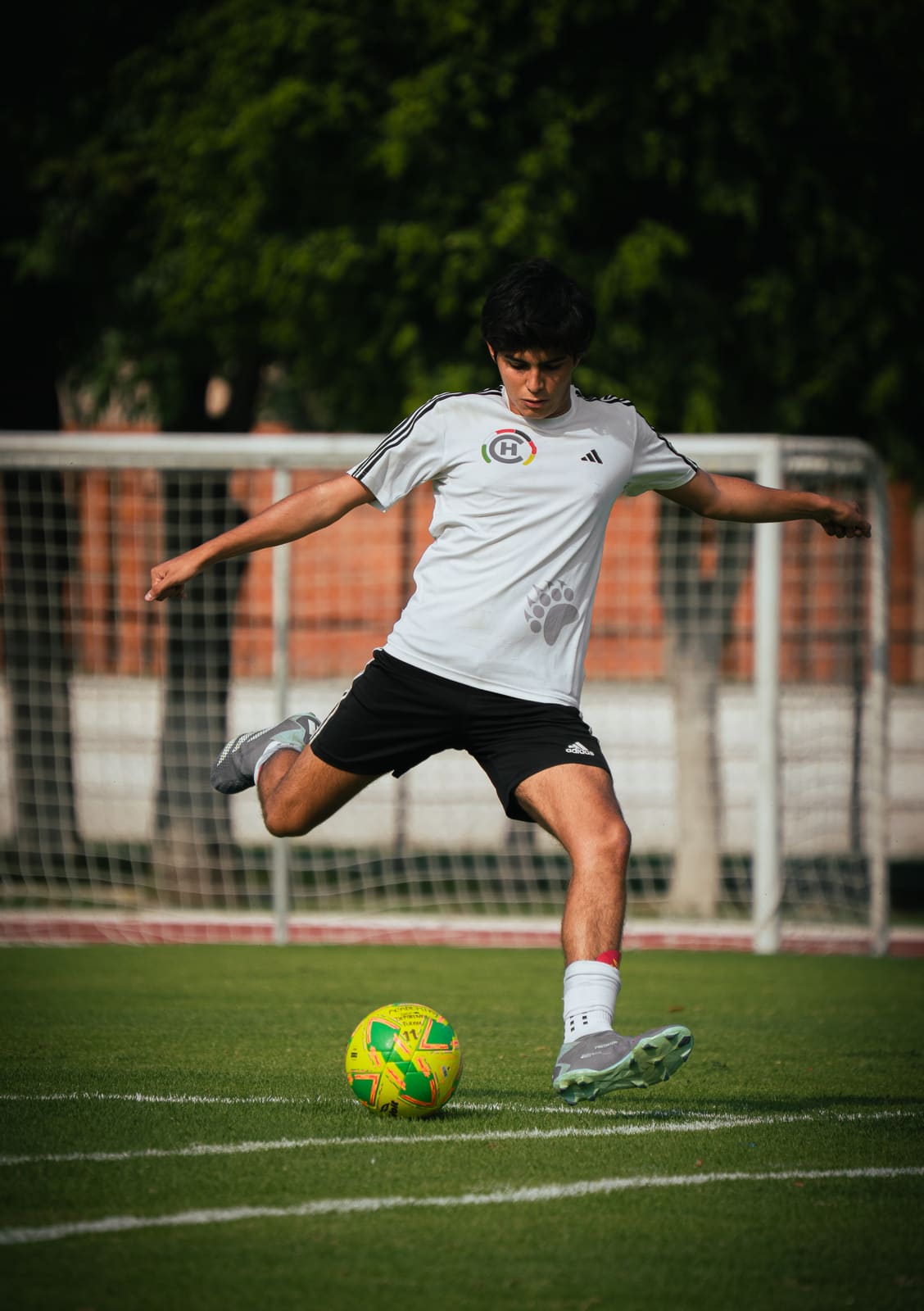 Fotografía de fútbol — Fútbol 14